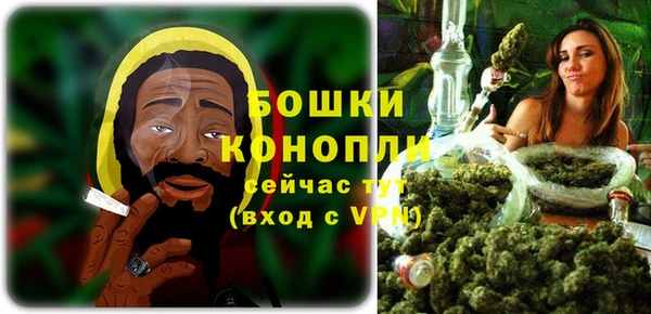ПСИЛОЦИБИНОВЫЕ ГРИБЫ Иннополис
