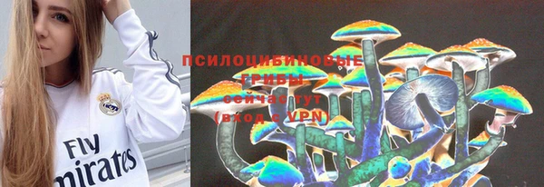 ГАЛЛЮЦИНОГЕННЫЕ ГРИБЫ Заволжск