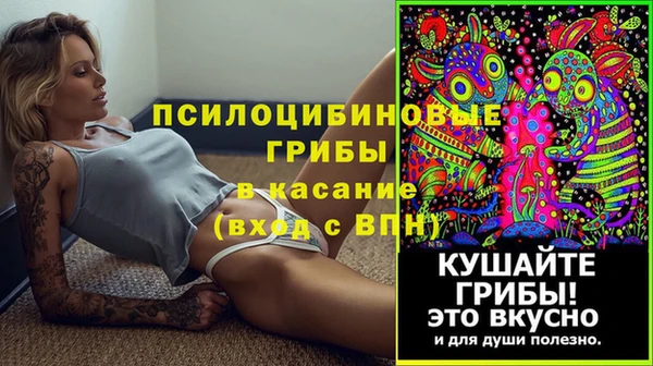 ГАЛЛЮЦИНОГЕННЫЕ ГРИБЫ Заволжск