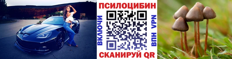 Псилоцибиновые грибы мицелий  Карталы 