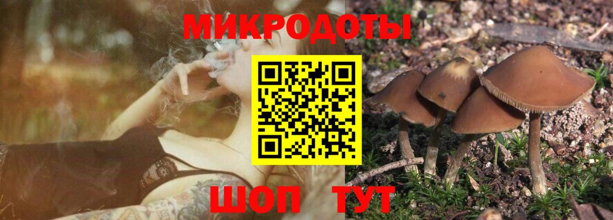 Псилоцибиновые грибы MAGIC MUSHROOMS Карталы